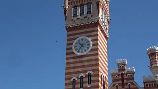 Боксируй везде!