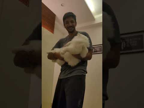 Gautham Karthik his beautiful cat🙀😻😼