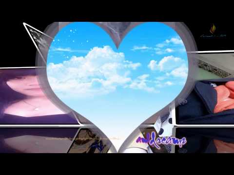 Larger Than Life Pink Zebra If Benji Jackson