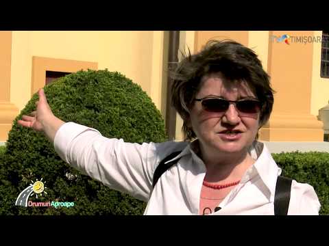 Secession Vulturul Negru #Oradea #Nagyvárad #Varadinum #DrumuriAproape @TVRTimisoara