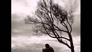 Lutricia Mcneal   I never said i love you