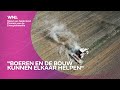 Boeren kunnen met hernieuwbare grondstoffen telen de bouw helpen: 'Het is een win-win-situatie'