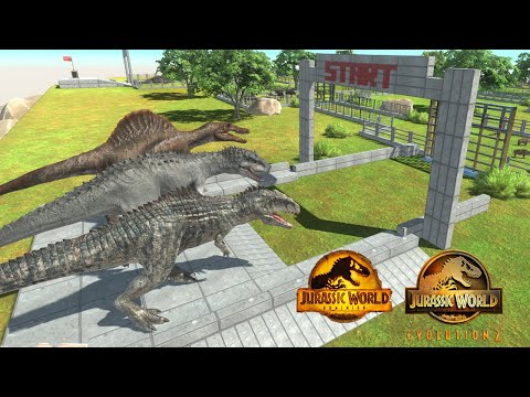 DINO TEAM - ZOO RACE