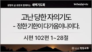 설교 동영상 메인 