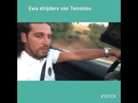 BOEF DISST ALI B, ALI B GOOIT FREESTYLE IN LAMBO