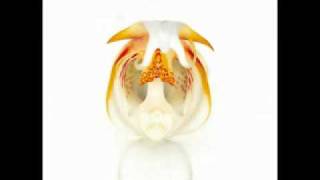 Kings Of Leon - Velvet Snow Music for a Mind and the Body