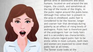 Pubic hair - Wiki Videos