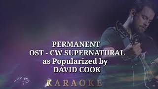 David Cook - Permanent ( KARAOKE )