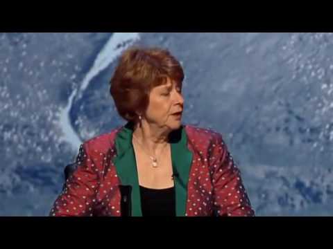 QI XL F04   Fight or Flight