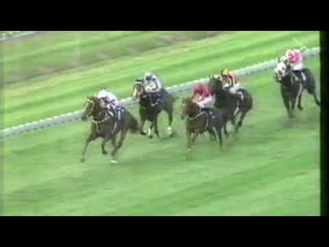1991 Queensland Oaks - Triscay