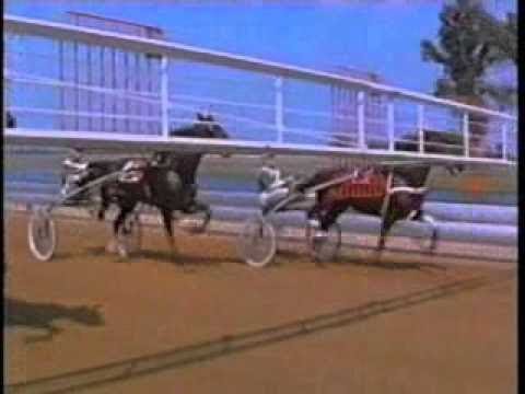 Hambletonian 1980 - Burgomeister & Bill Houghton
