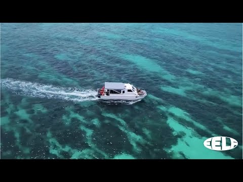 Evade Robots - In Too Deep