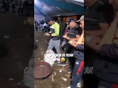 Competencia 😅🤣🥔🥔   #papa  #competition  #competencia  #sigchos  #cotopaxi