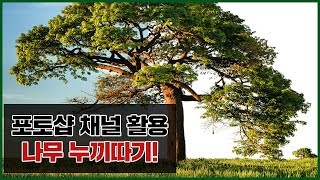 [포토샵 채널 활용 강좌] 나무 누끼따끼 쉽게 따기! / cut out using channels photoshop