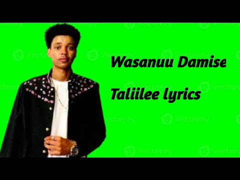 Wasanuu Damise_*Taliilee*new oromo music 