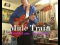 Mule Train (DUANE EDDY - FRANKIE LAINE)