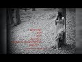 Anjali Anjali Puspanjali Songs Tamil Whatsapp Status