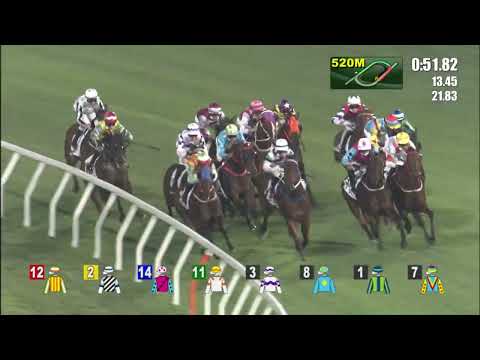 4/5/2022 (638) Brave Power - B Shinn