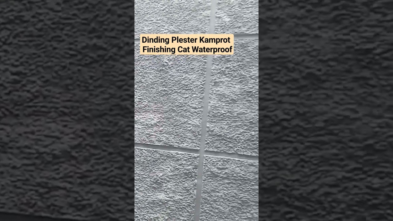 Dinding Kamprot Finishing Cat Waterproof #short #arsitek #desainrumah #ajtproperty #berau