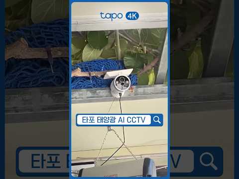 우리집 주택 CCTV 설치 이~지(easy)하죠? | Tapo C465