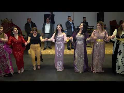 Songül & Cekdar Kina 2