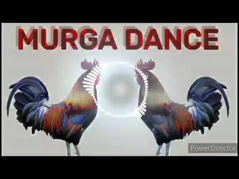 Murga dance || ku kuku song || murga song dj mix by dipanshu #murgadance #song #murga