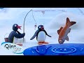 Pingu Goes Fishing Pingu Official Channel Cartoons For Kids