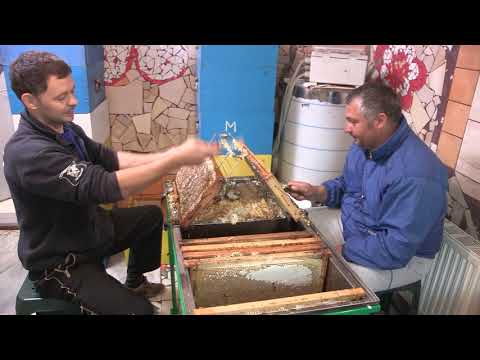Boja meda ep. 118 09.06.2020. Dobra pčelarska praksa, vrcanje meda, bagremov med