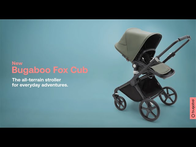 Vidéo teaser pour Bugaboo Fox Cub: What to know before buying | Bugaboo
