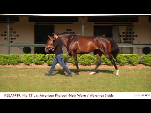 KEEAPR19, Hip 131, c, American Pharoah--New Wave / Wavertree Stable