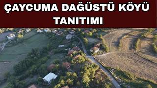 Çaycuma Dağüstü Köyü