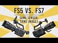 FS5 vs FS7 Shootout: Same Sensor, Same Image?