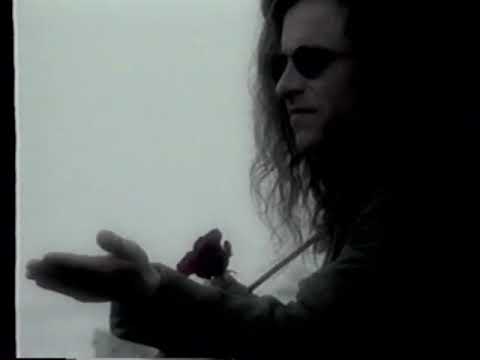 Thumbnail for Band: Paisley Sin "Seasons Change" Class of 1991 Art Institute of Seattle by Institute (band)