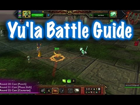 Yu'la, Broodling of Yu'lon, Celestial Tournament Pet Battle Guide (World of Warcraft)