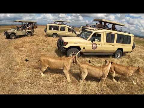 ZANZIBAR SAFARI 4K UHD