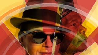 The selecter - pass the power