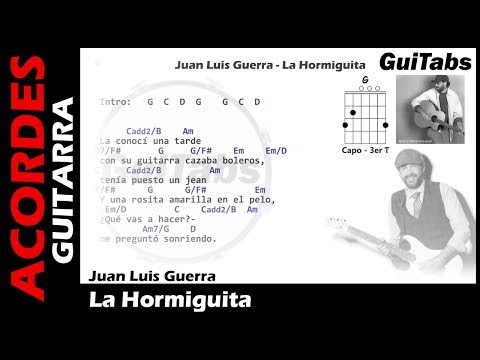 La hormiguita - Juan Luis Guerra