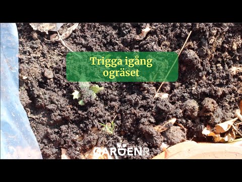 Trigga igång ogräset - Trädgårdshacks med GardenR