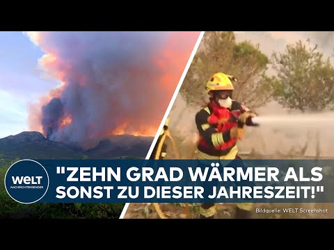 SPANIEN: Heftiger Waldbrand bei Alicante! "Zunderbüchse der Natur!"