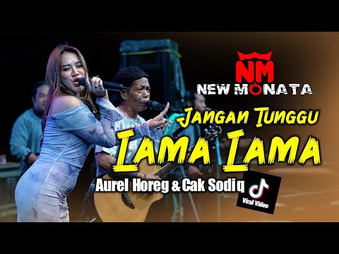 JANGAN TUNGU LAMA LAMA ( COVER ) LIVE PANDAAN