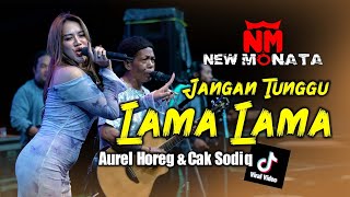 Download lagu JANGAN TUNGU LAMA LAMA ( COVER ) LIVE PANDAAN mp3