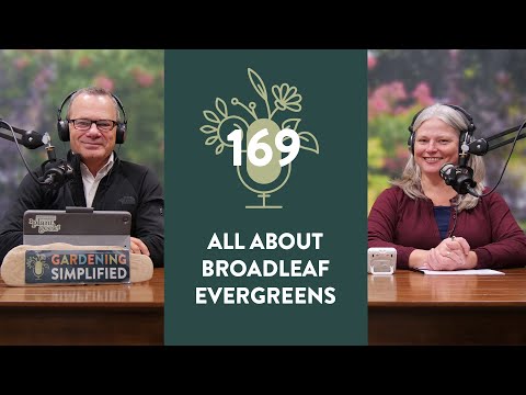 The Beauty and Benefits of Broadleaf Evergreens | 169