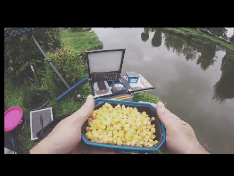 Preston innovations bait boxes