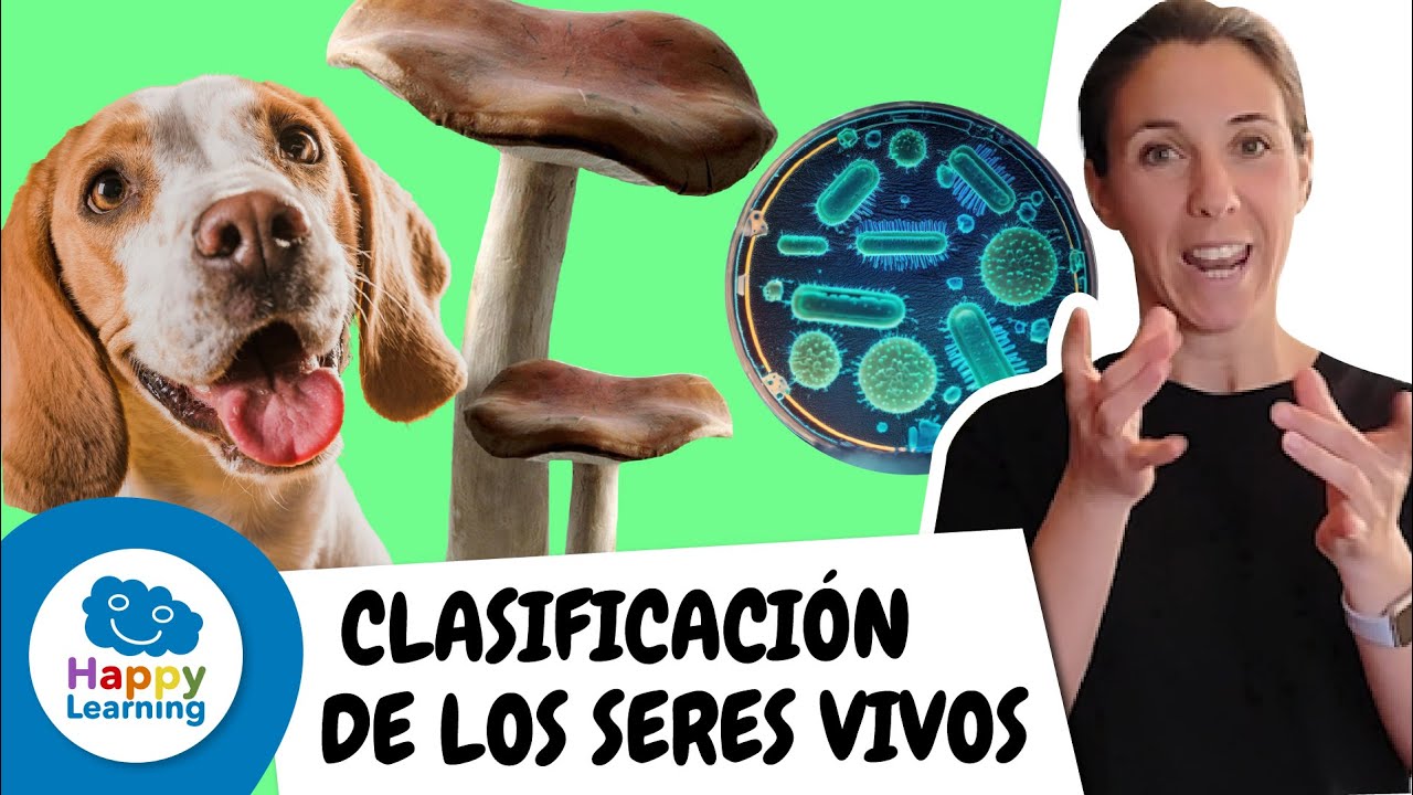 Clasificación de los Seres Vivos en Lengua de Signos | Happy Learning 🌍🌱🤟