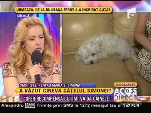 Simona Sensual și-a pierdut câinele: "Ofer recompensă celui care îl va găsi pe Bijou!"