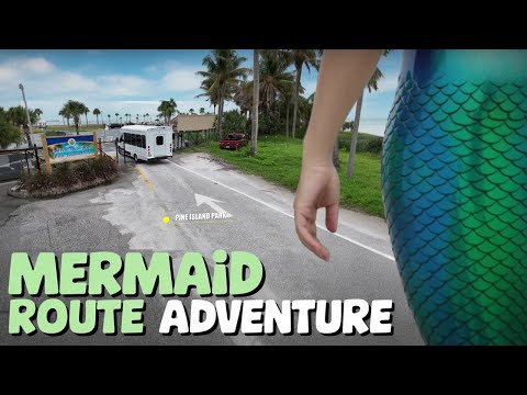 Hernando County Transit (TheBus) video thumbnail