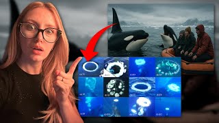 AS BALEIAS ESTÃO TENTANDO AVISAR OS HUMANOS de alguma coisa! Olha isso que bizarro!