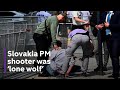Slovakia PM shooting: Suspect charged with attempted murder