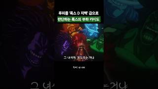 루피를 록스 D 지벡급으로 판단하는 카이도
