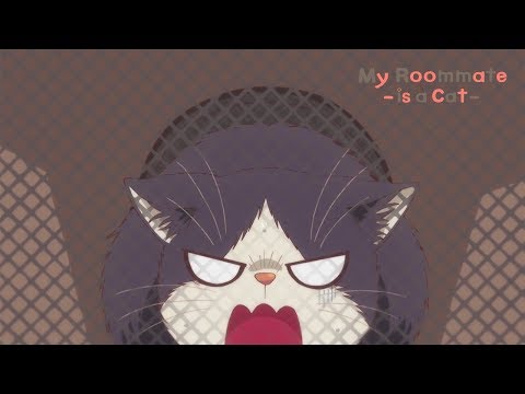 Vétérinaire | My Roommate is a Cat
